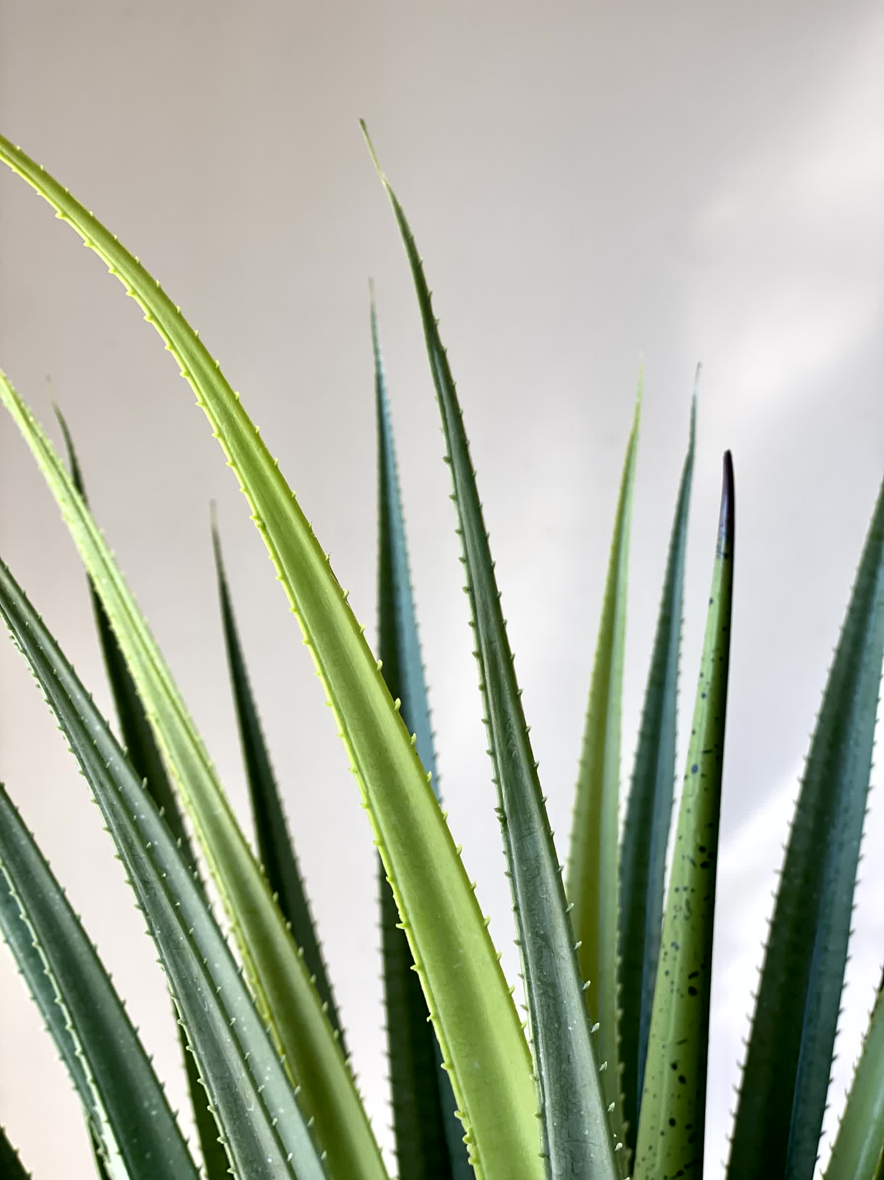 Artificial Taproot Dracaena Plant - 3.8 Feet