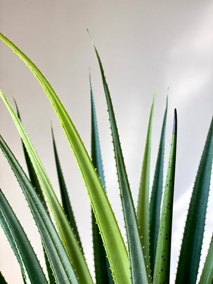 Artificial Taproot Dracaena Plant - 3.8 Feet