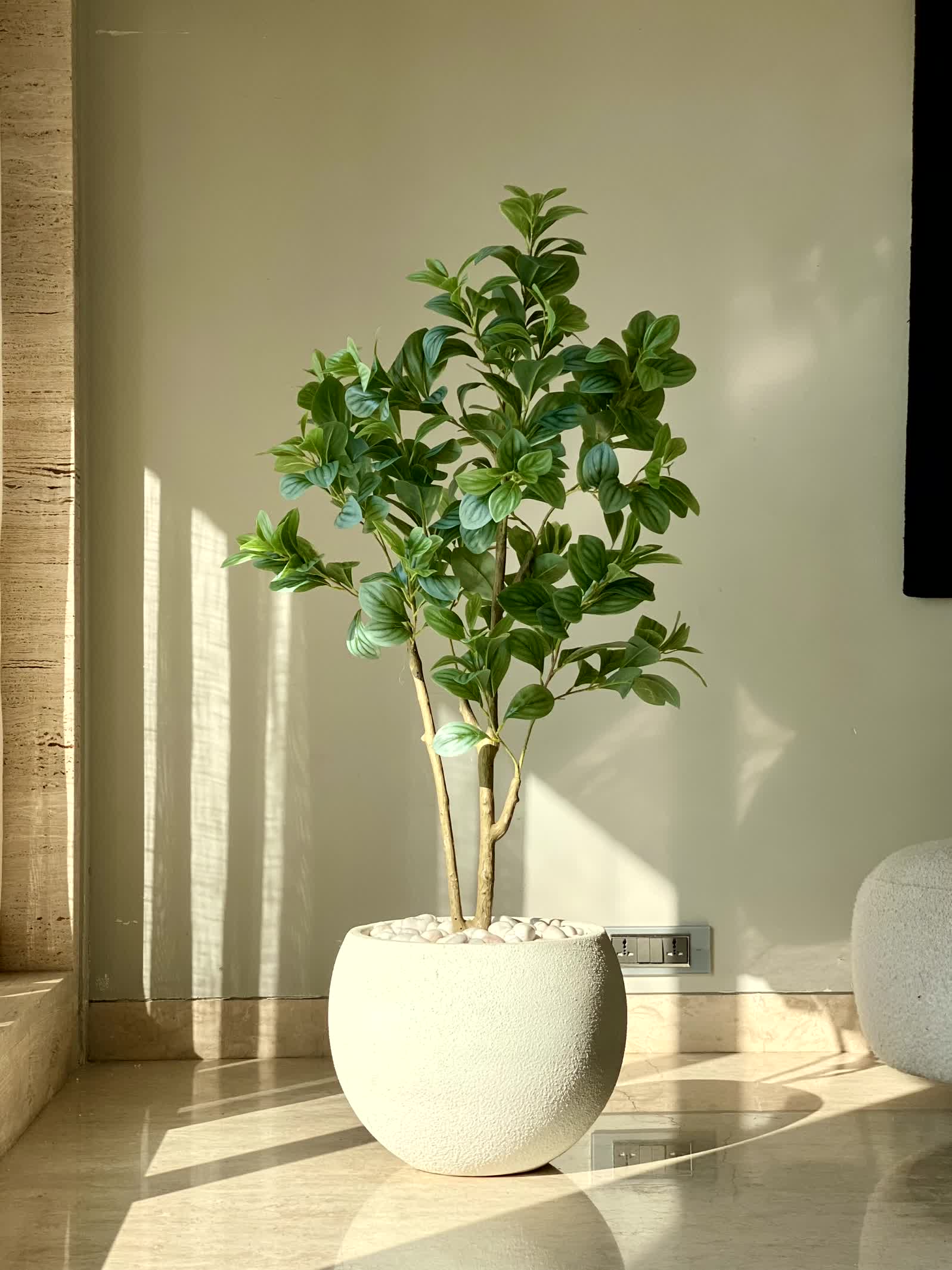 Artificial Variegated Schefflera Plant - 4 Feet