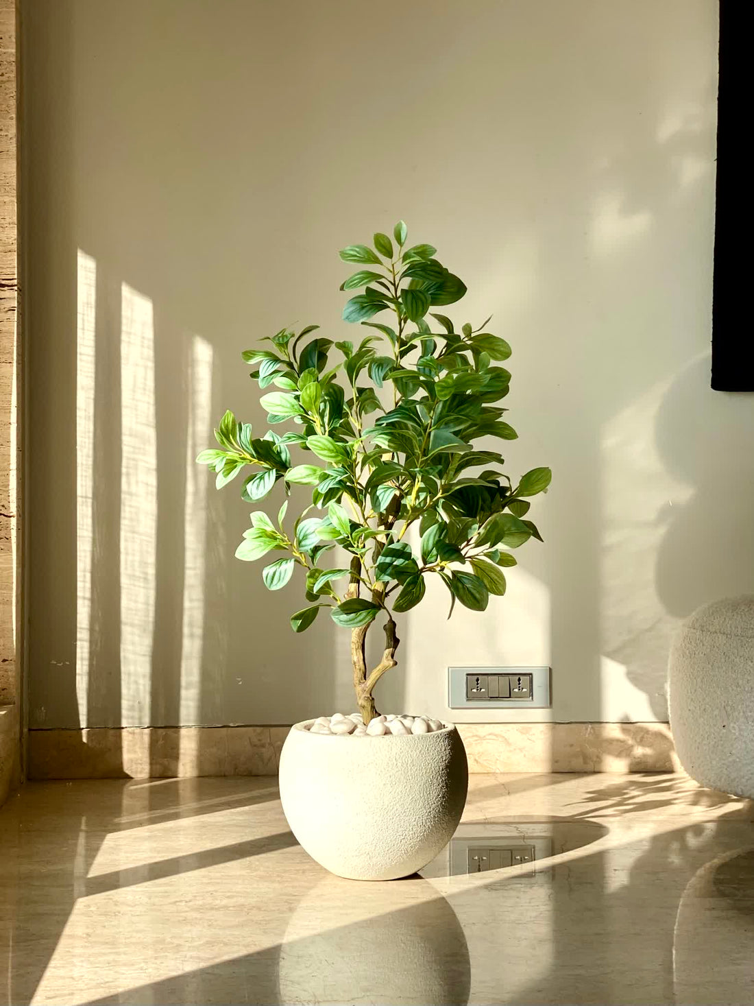 Artificial Variegated Schefflera Plant - 2.8 Feet