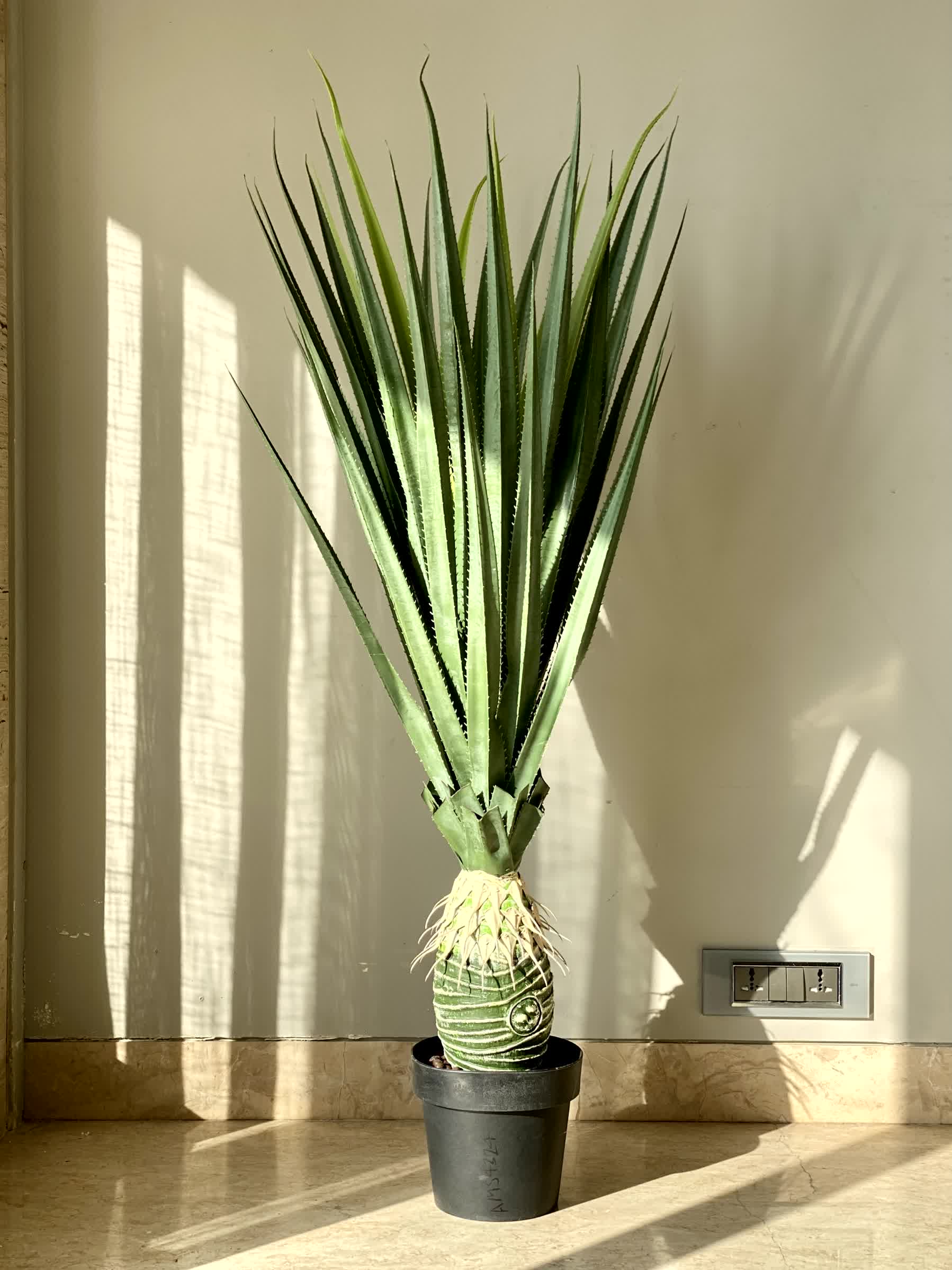 Artificial Taproot Dracaena Plant - 3.8 Feet