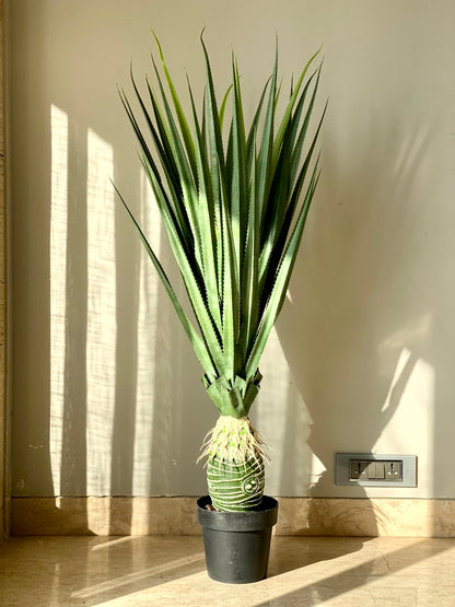 Artificial Taproot Dracaena Plant - 3.8 Feet