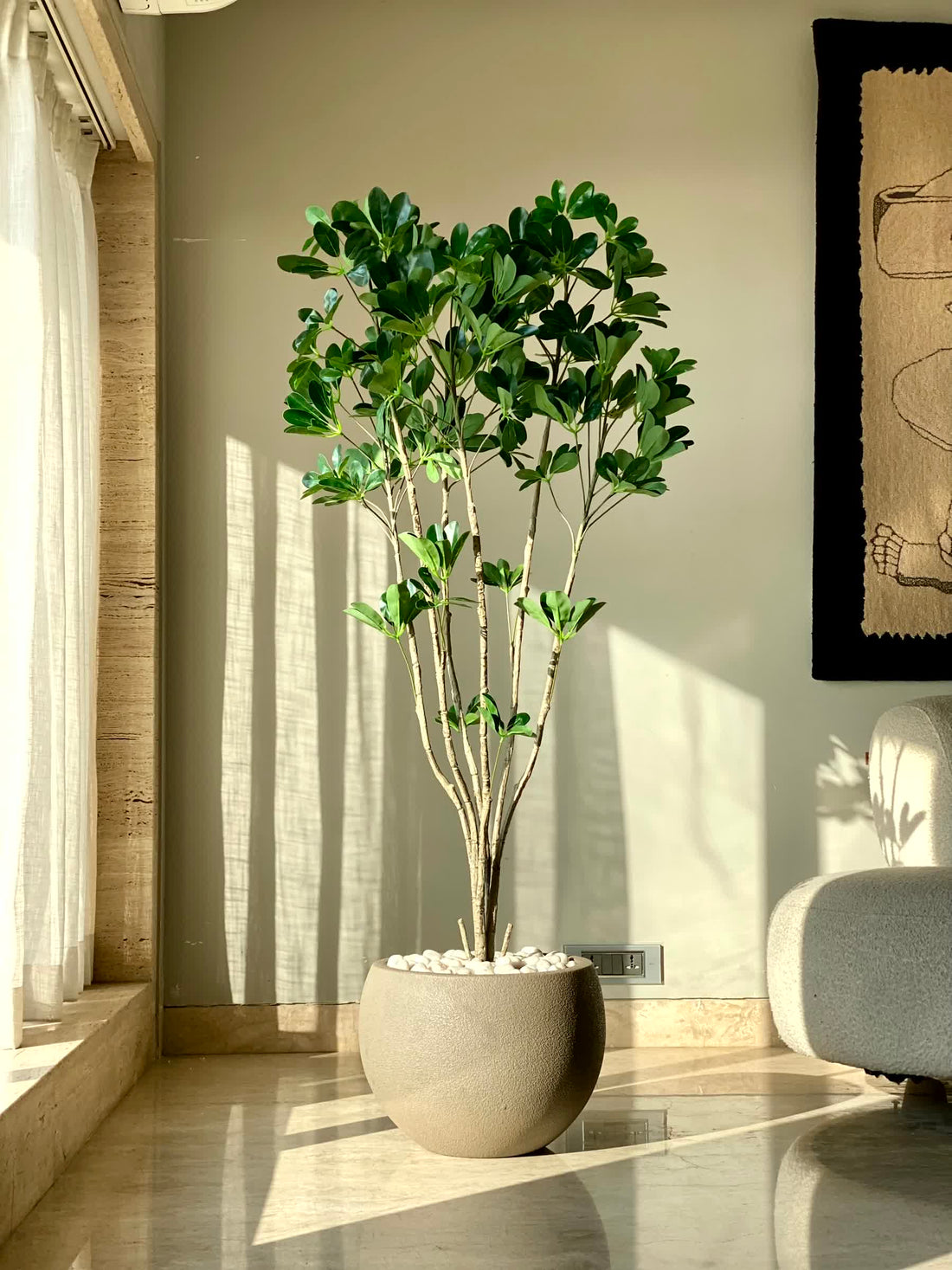 Artificial Multistem Schefflera Plant - 5 Feet