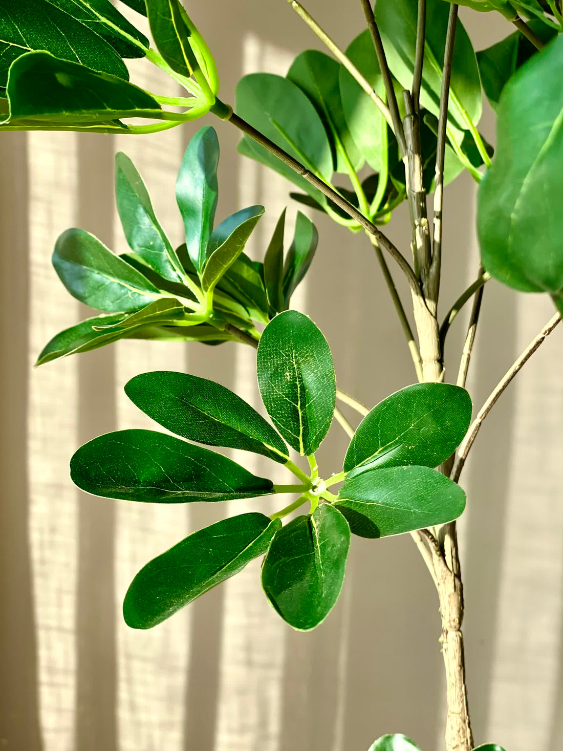 Artificial Multistem Schefflera Plant - 5 Feet