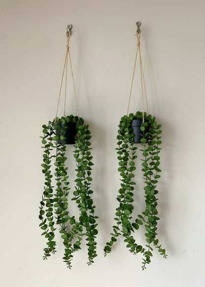 Artificial Hanging Eucalyptus - (Set of 2)