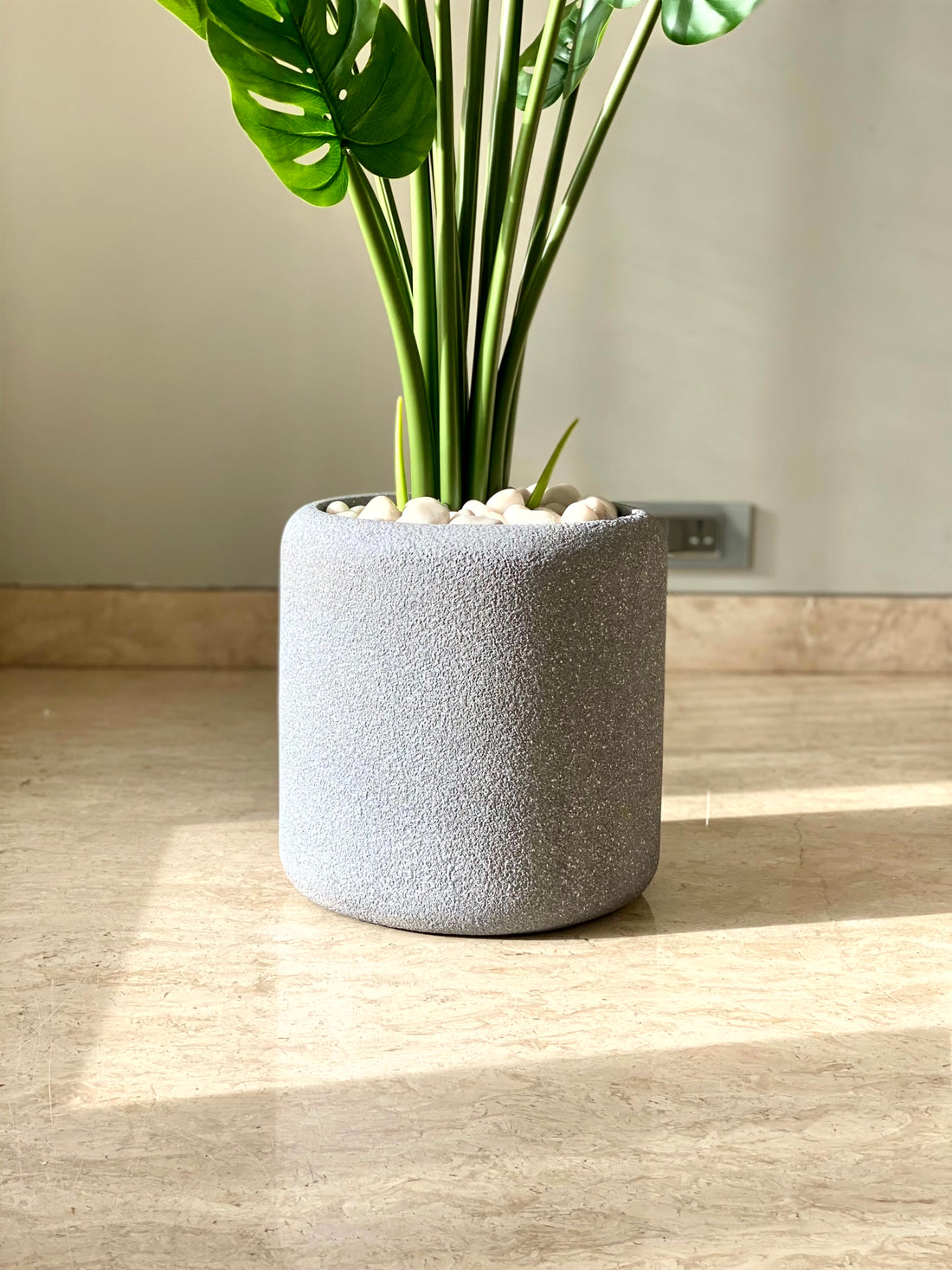 Modiy Mottle Planter