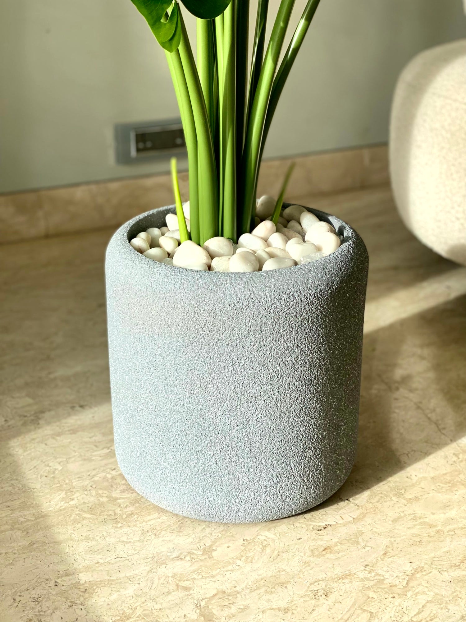 Modiy Mottle Planter