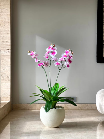 Artificial Orchid Oasis Plant