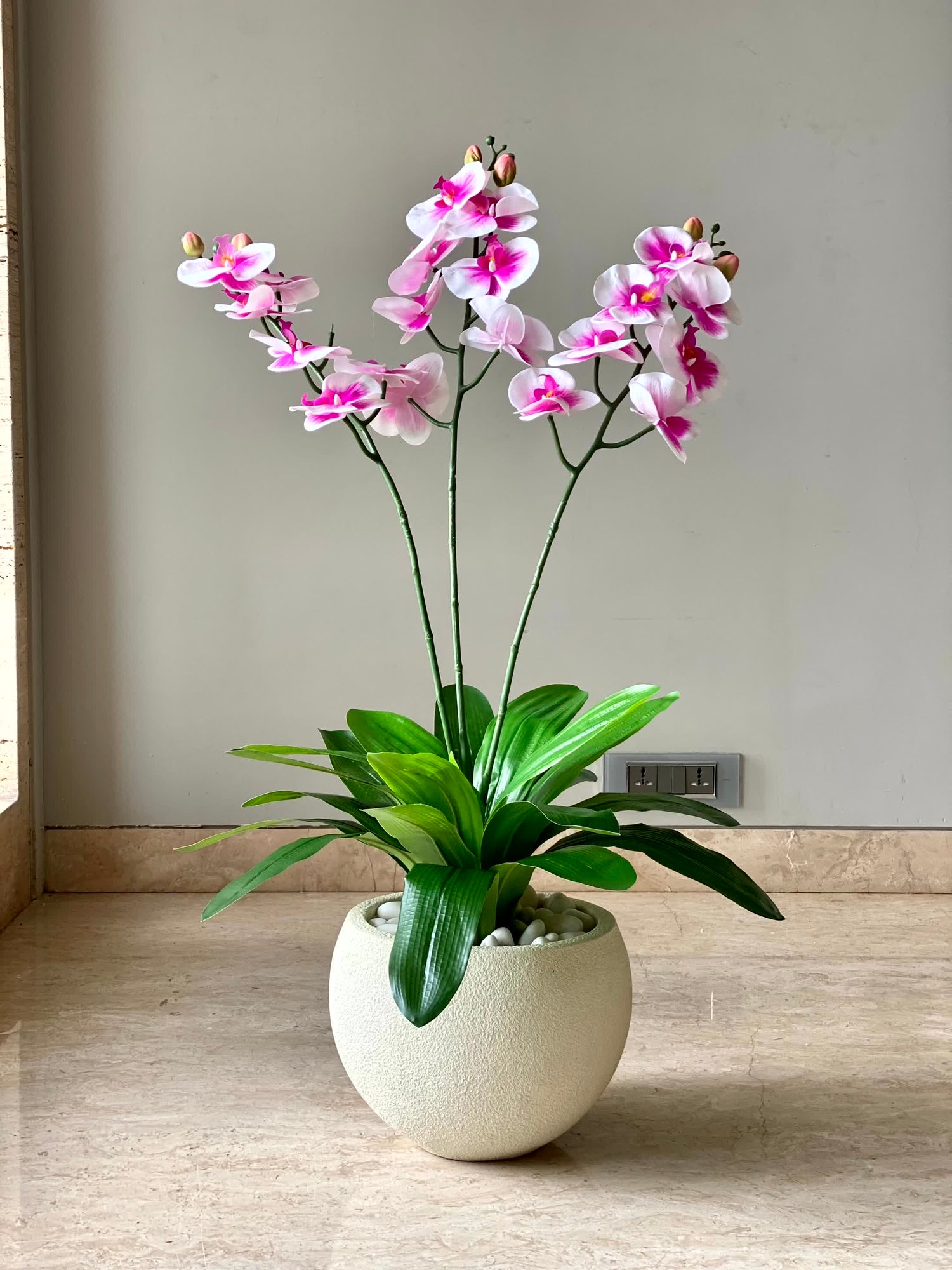 Artificial Orchid Oasis Plant