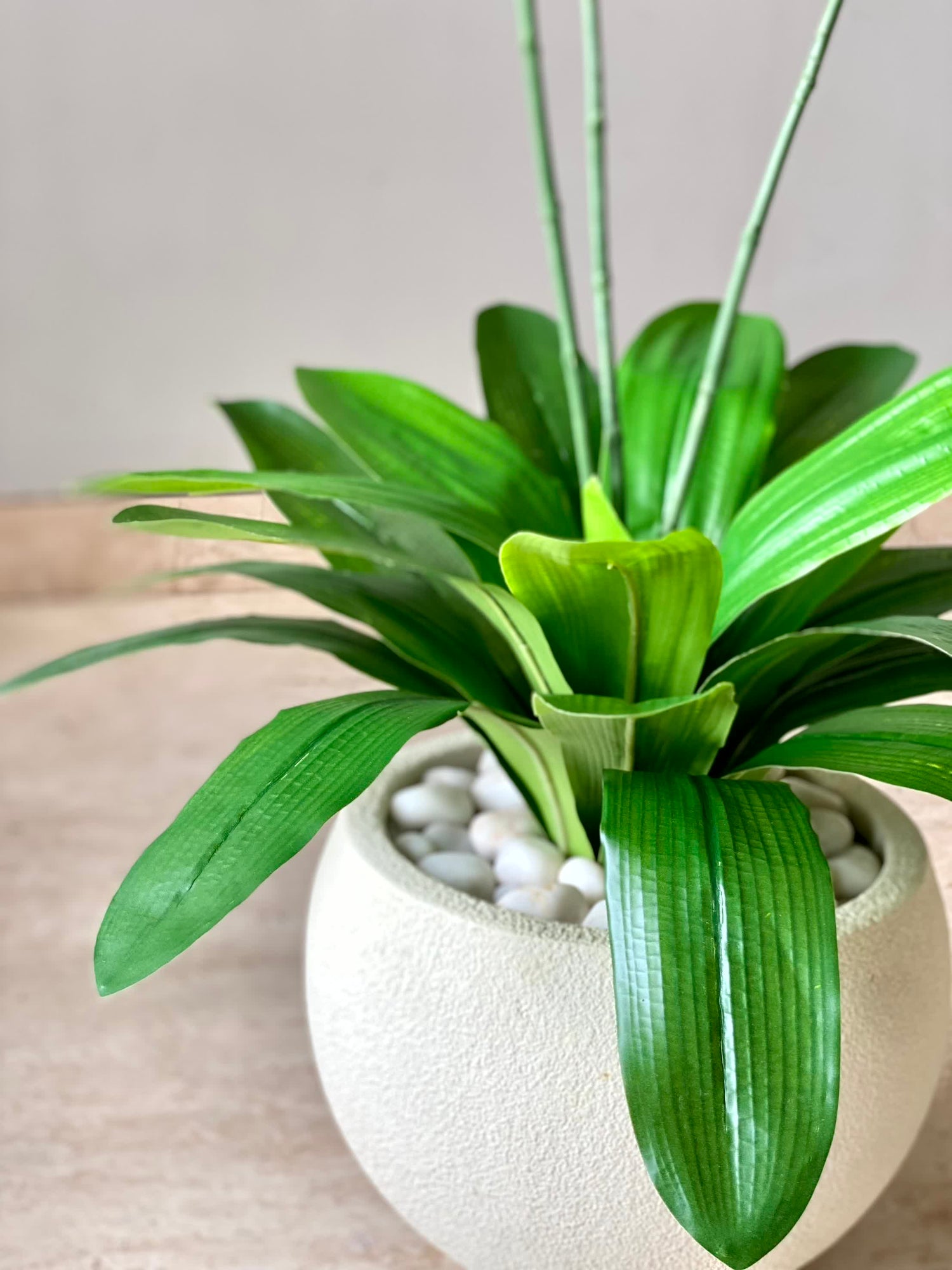 Artificial Orchid Oasis Plant