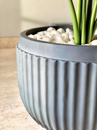 Grandeur Rutted Planter Short