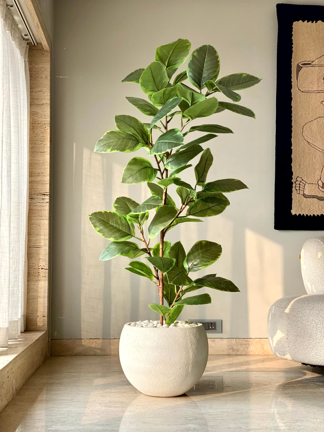 Artificial Leafy Rubber Plant - 5.5 Feet