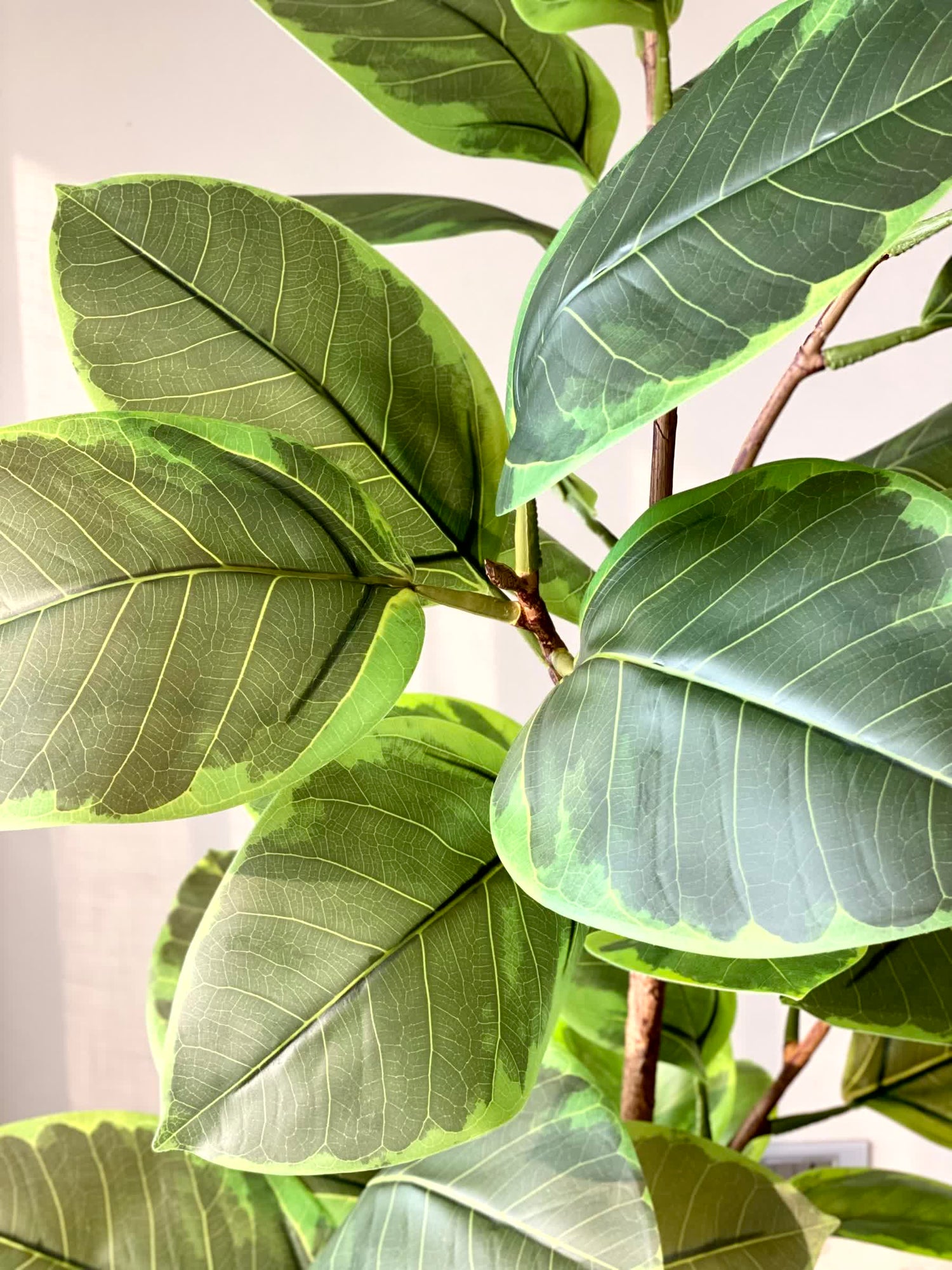 Artificial Leafy Rubber Plant - 5.5 Feet