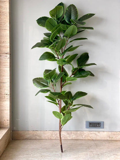 Artificial Leafy Rubber Plant - 5.5 Feet