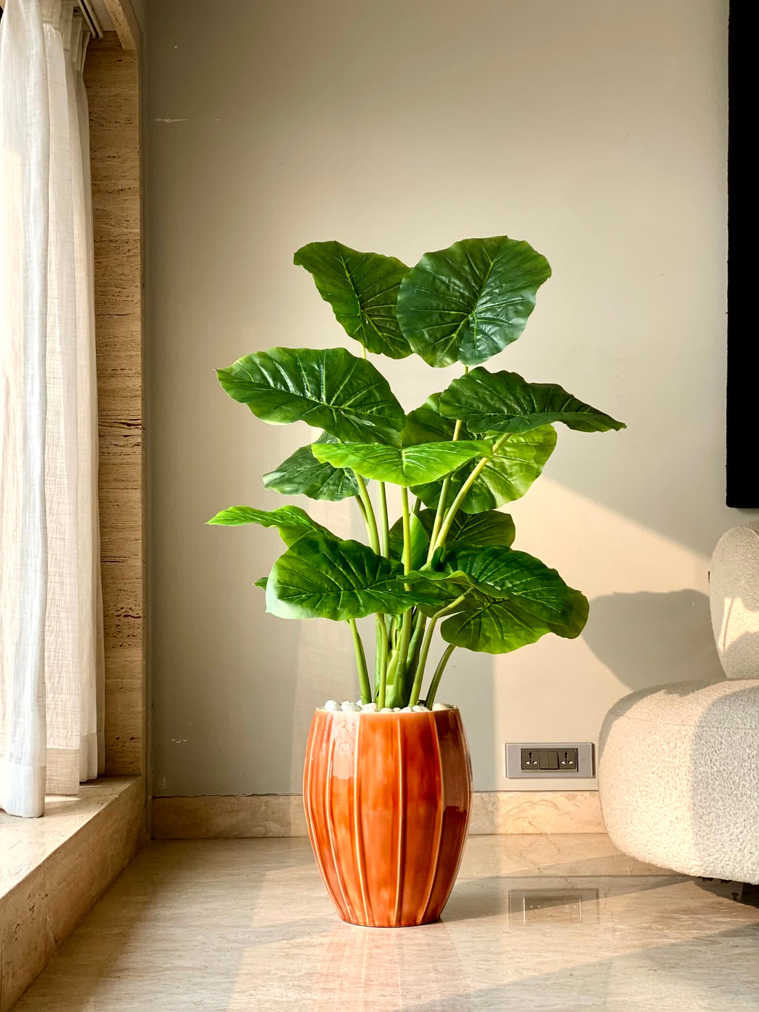 Artificial Midas Alocasia Plant - 4 Feet