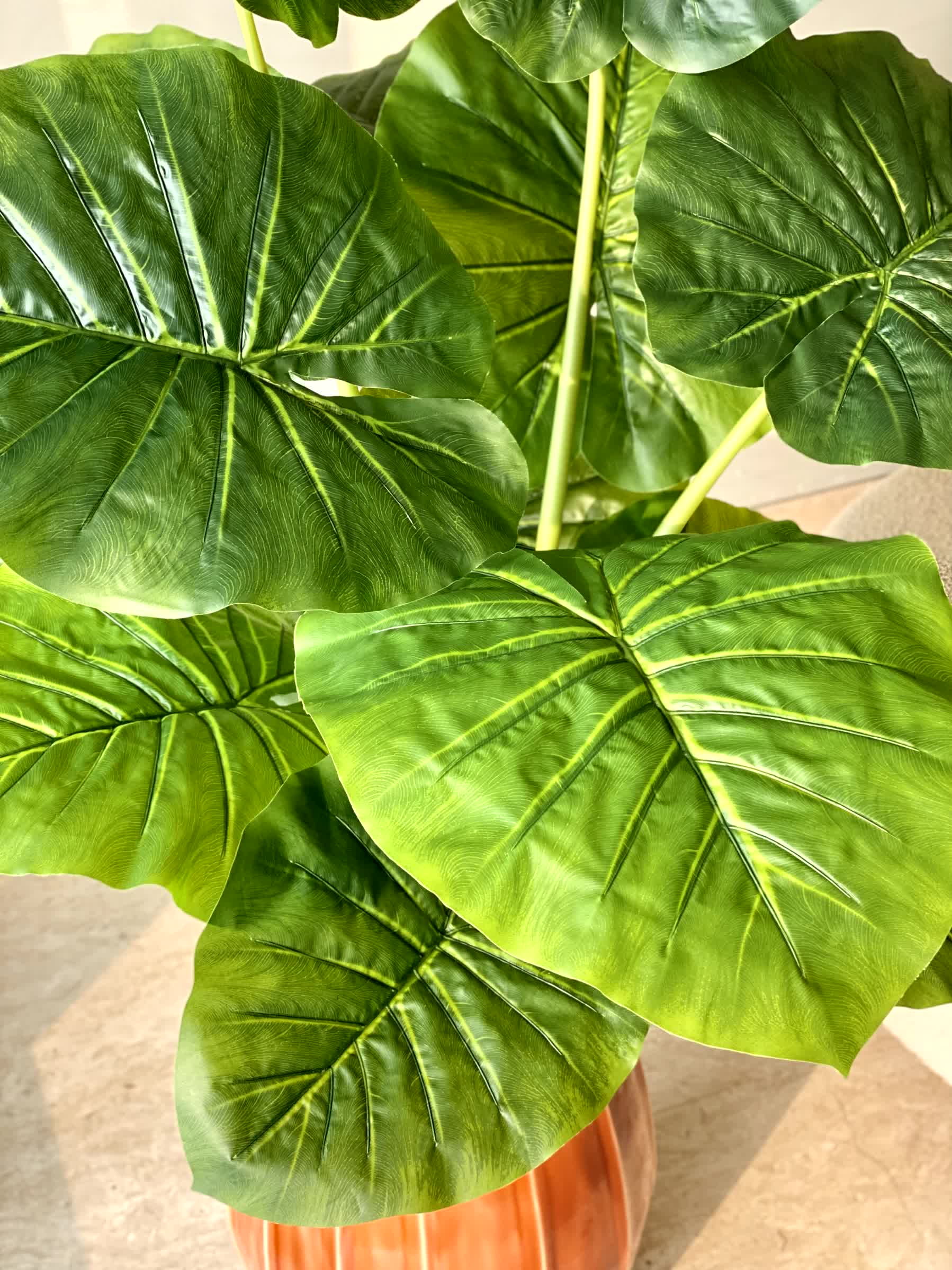 Artificial Midas Alocasia Plant - 4 Feet