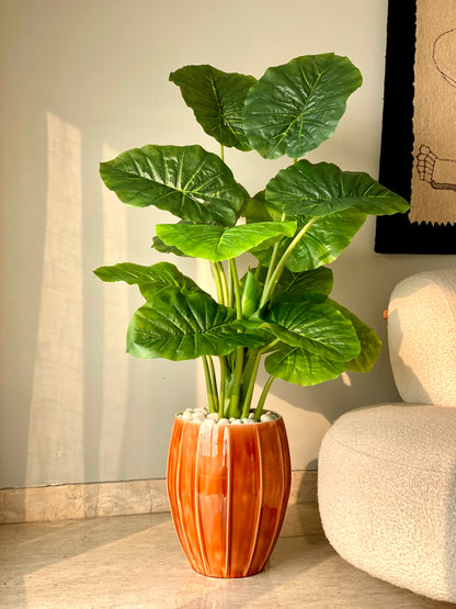 Artificial Midas Alocasia Plant - 4 Feet