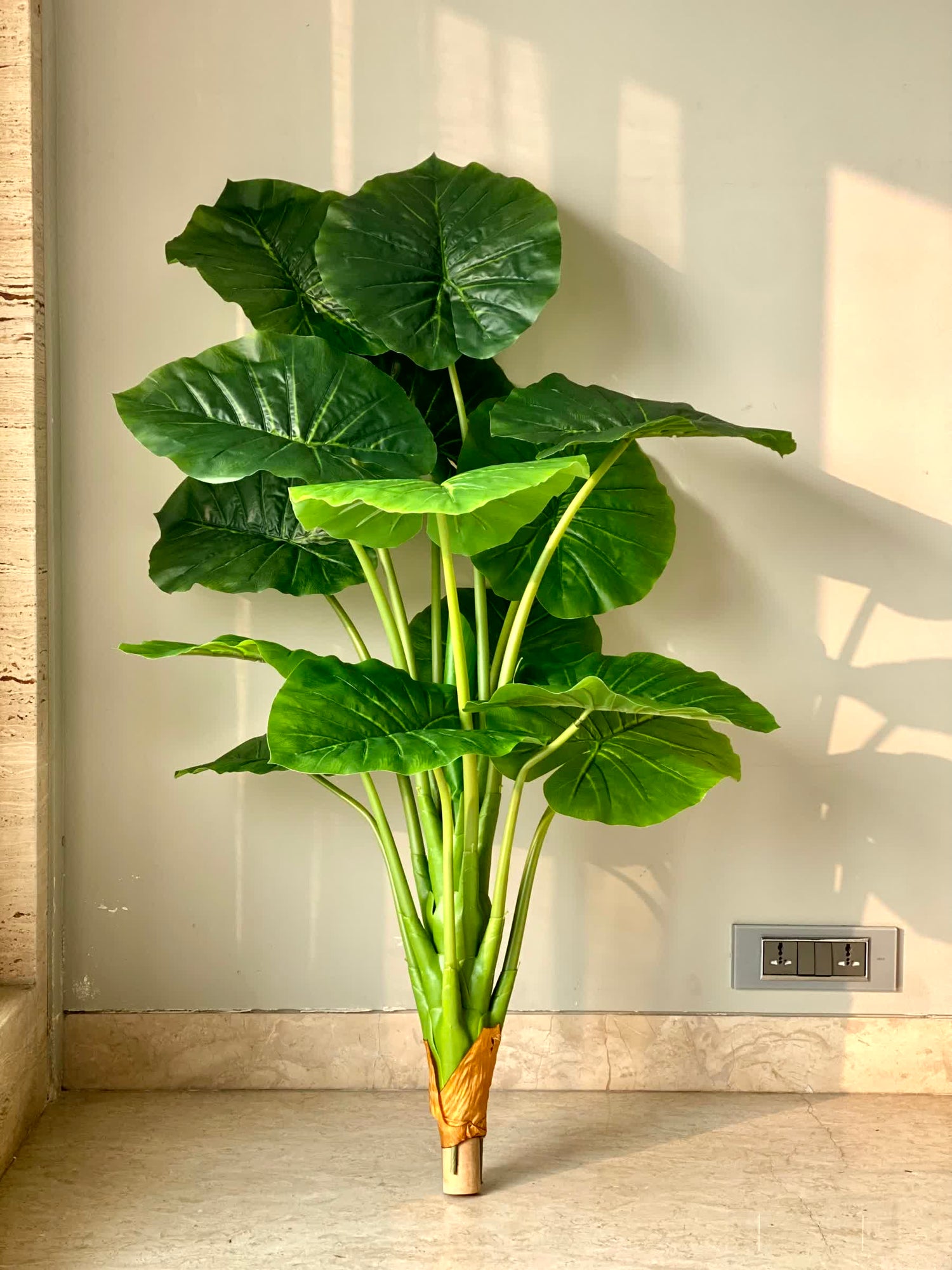 Artificial Midas Alocasia Plant - 4 Feet