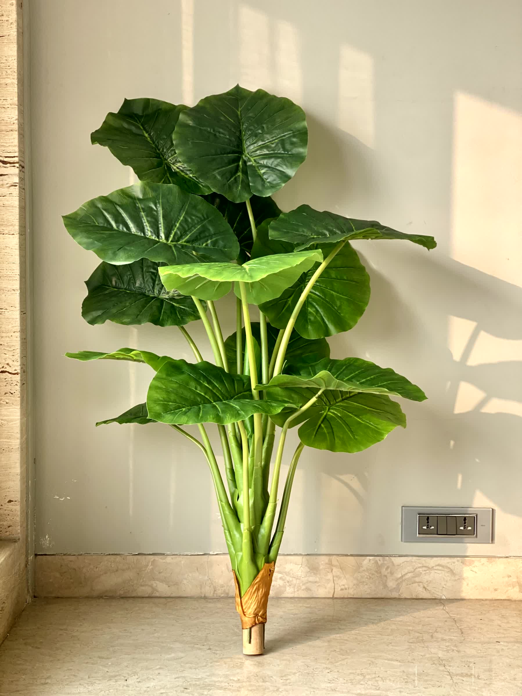 Artificial Midas Alocasia Plant - 4 Feet