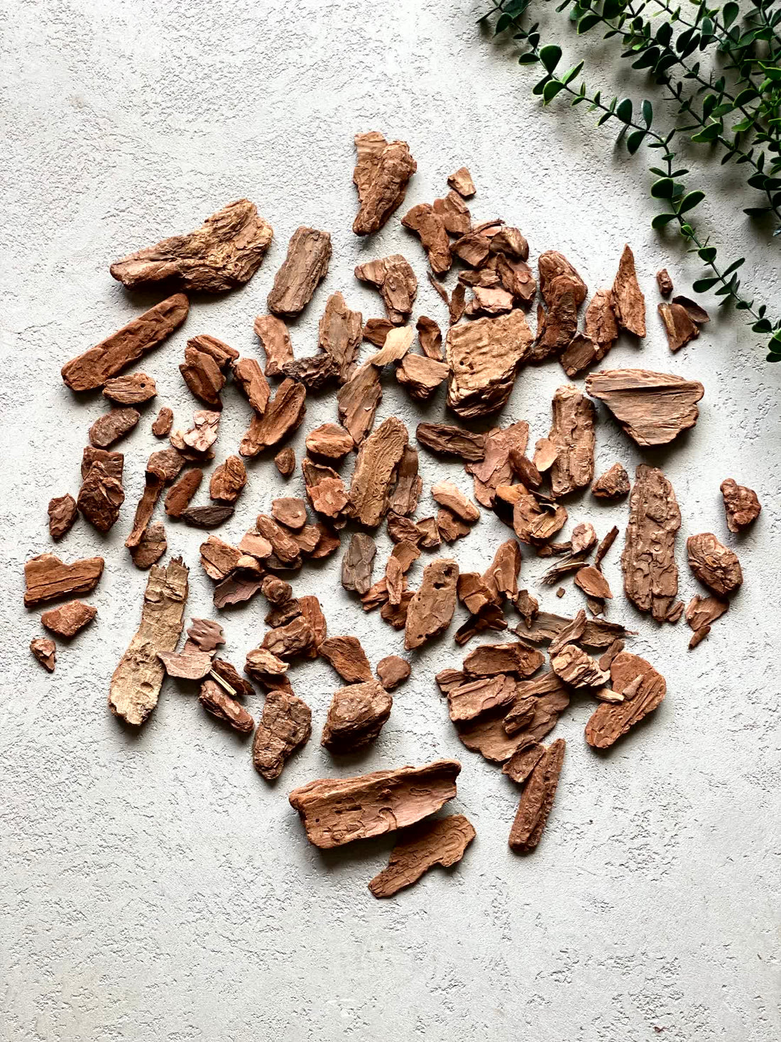 Wood Bark Chips - (Pack of 4)