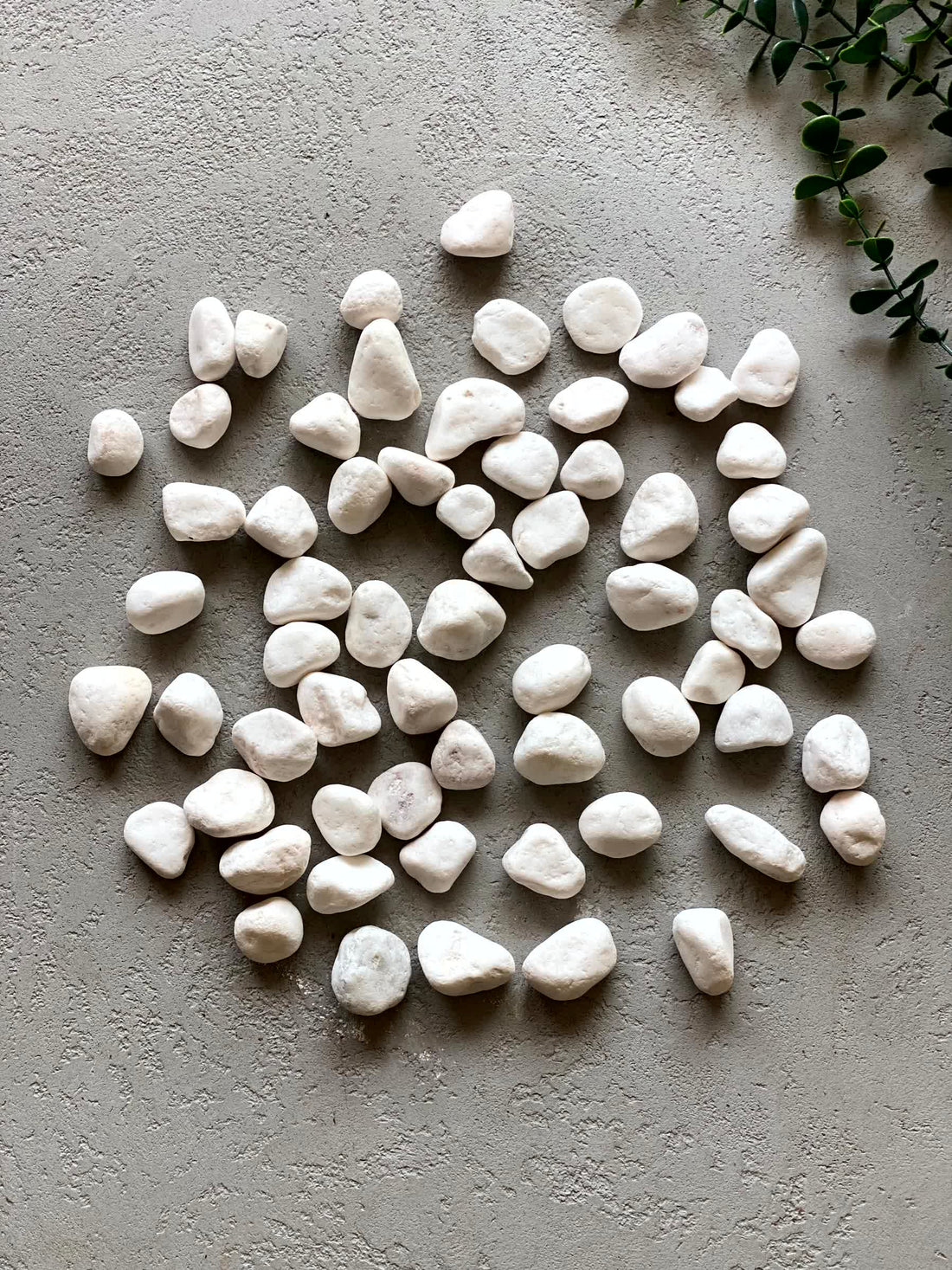 White River Rocks - (Pack of 2)
