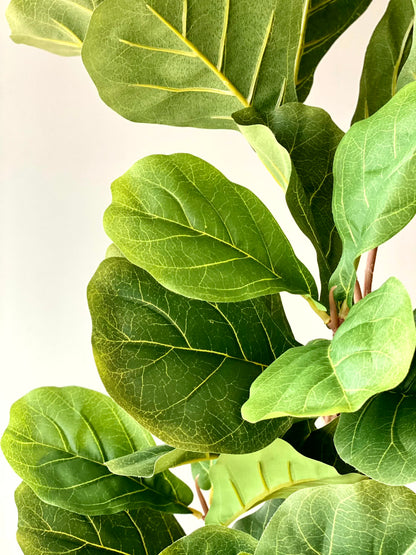 Artificial Fiddle Leaf Fig Tree - 5 Feet