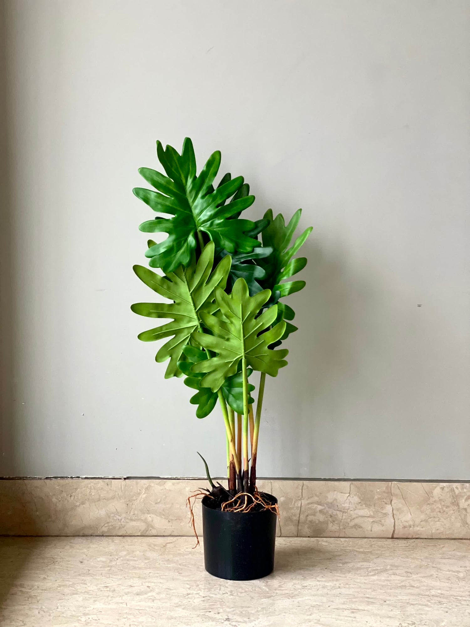 Artificial Split Philodendron Plant