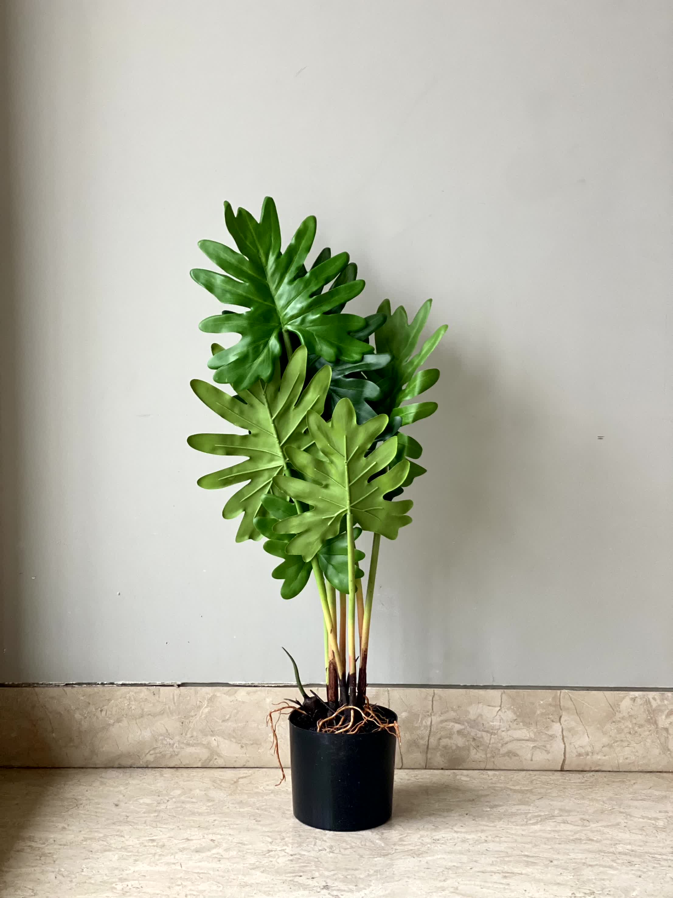 Artificial Split Philodendron Plant