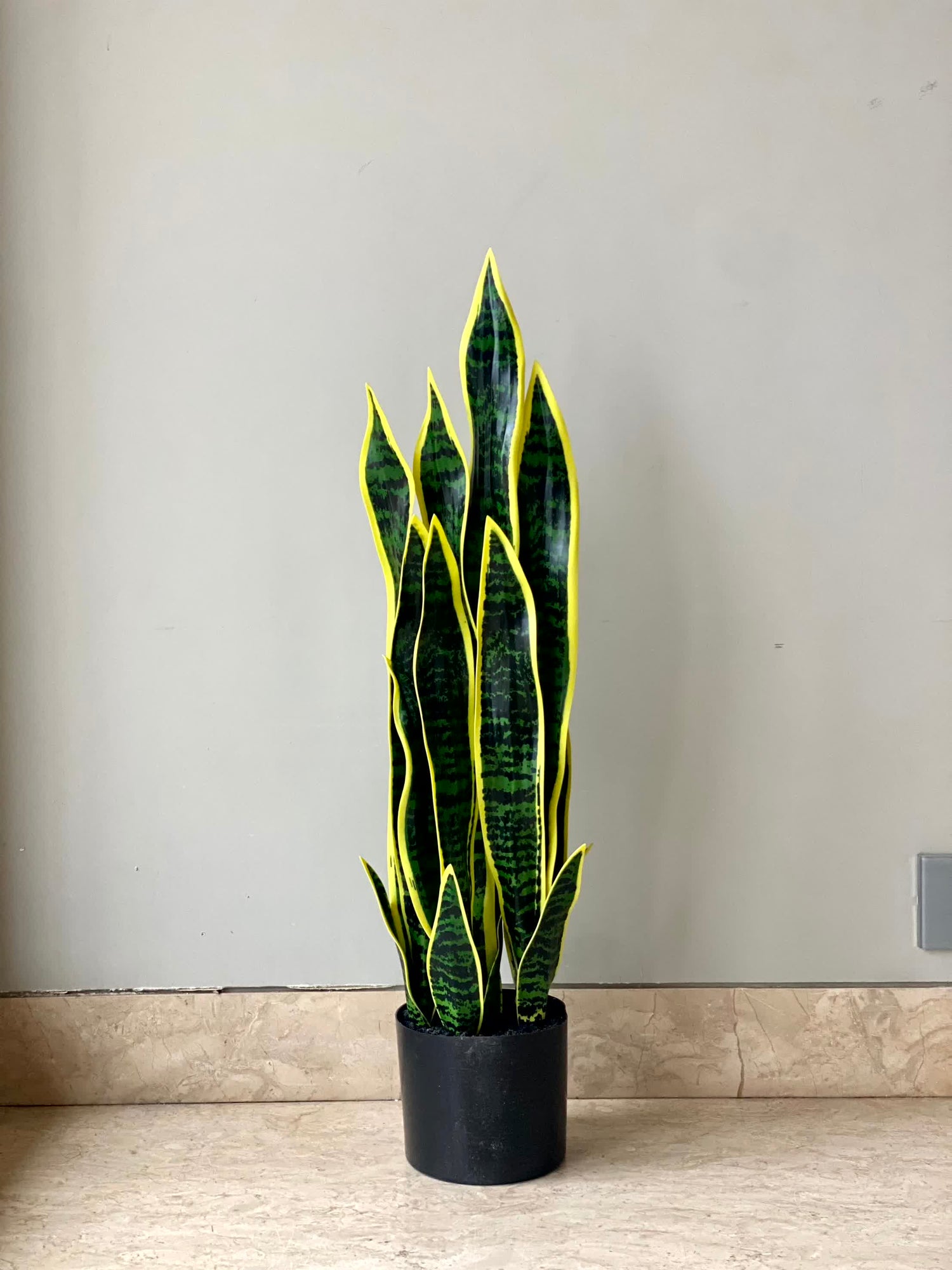 Artificial Snake Plant Saga