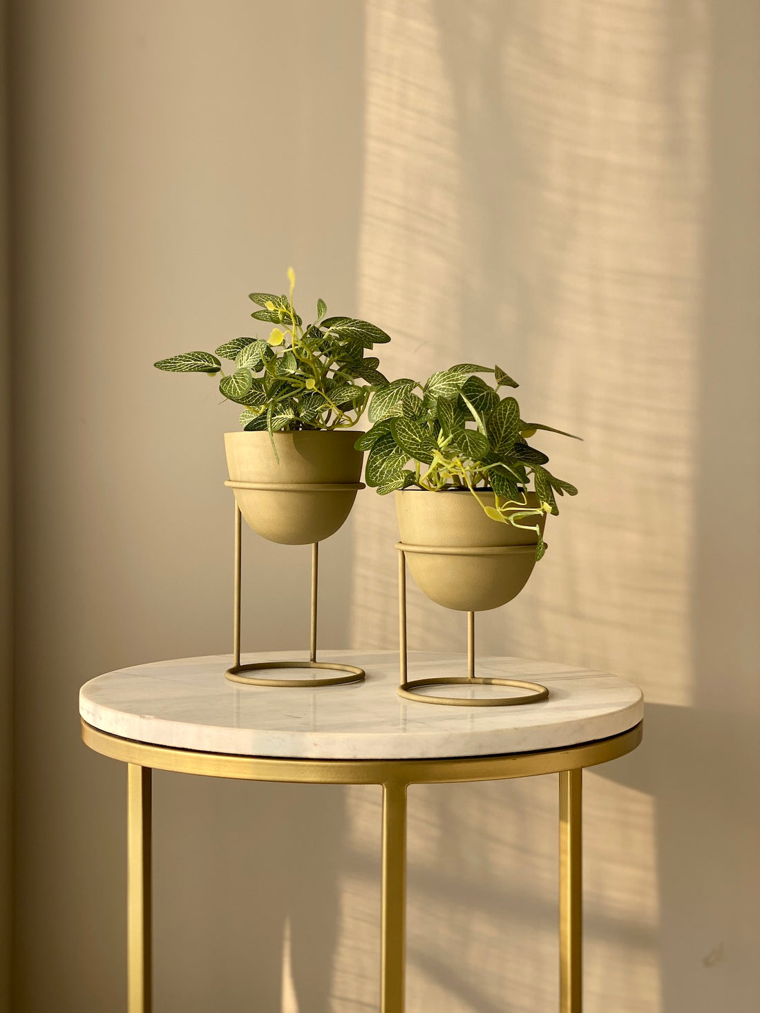 Olvera Olive Green Desk Planter- Set of 2