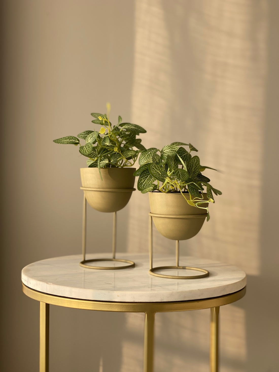 Olvera Olive Green Desk Planter- Set of 2