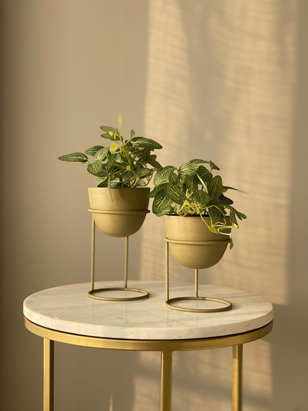 Olvera Olive Green Desk Planter- Set of 2