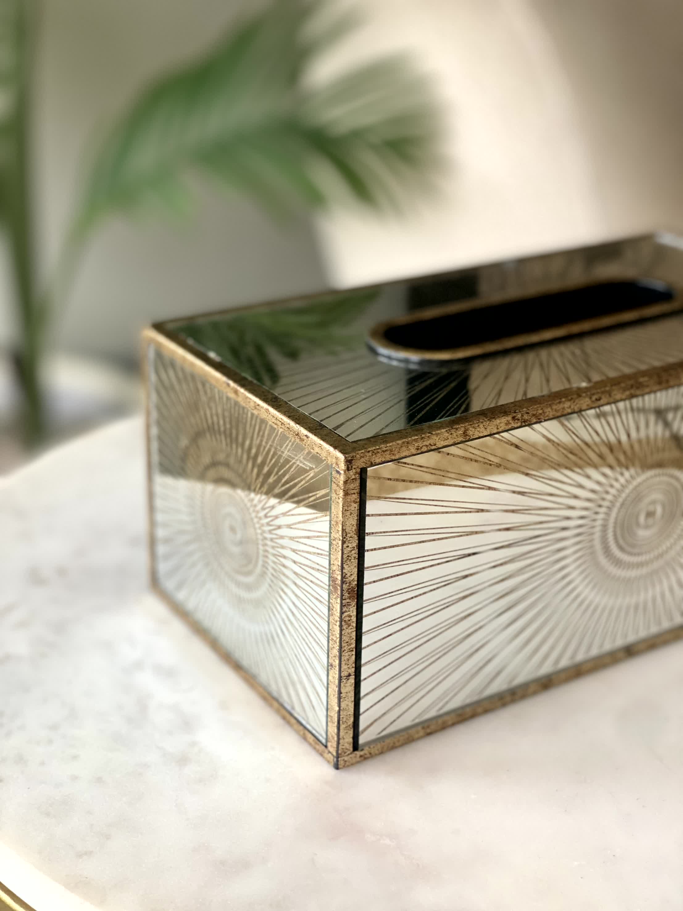 Shimmering Tissue Box