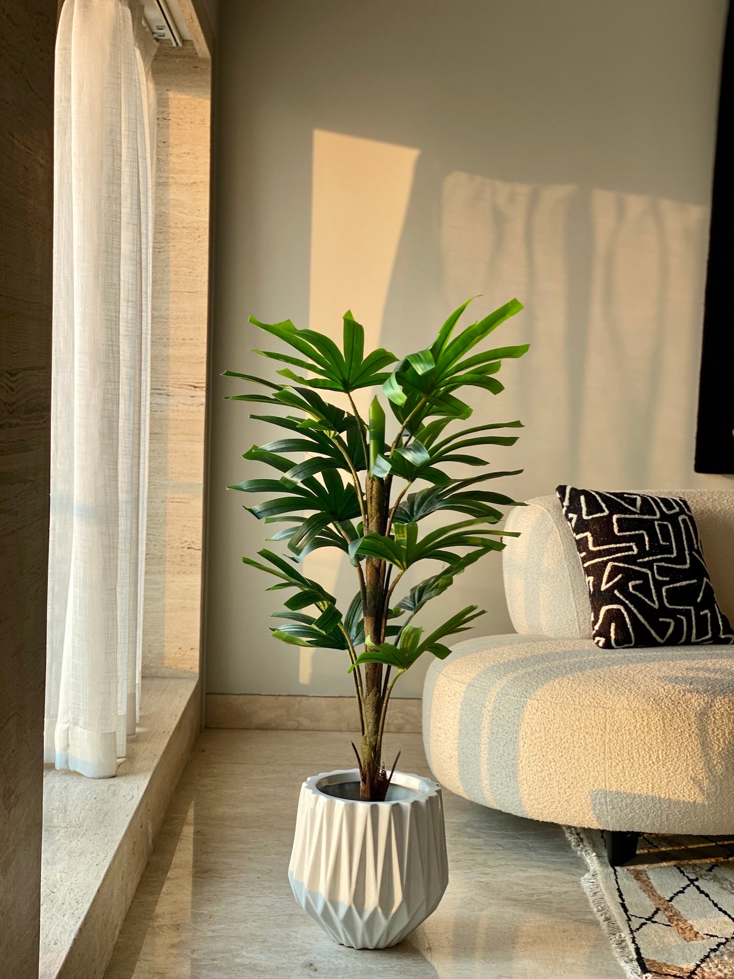 Single Raphis Palm Tree - 4 Feet