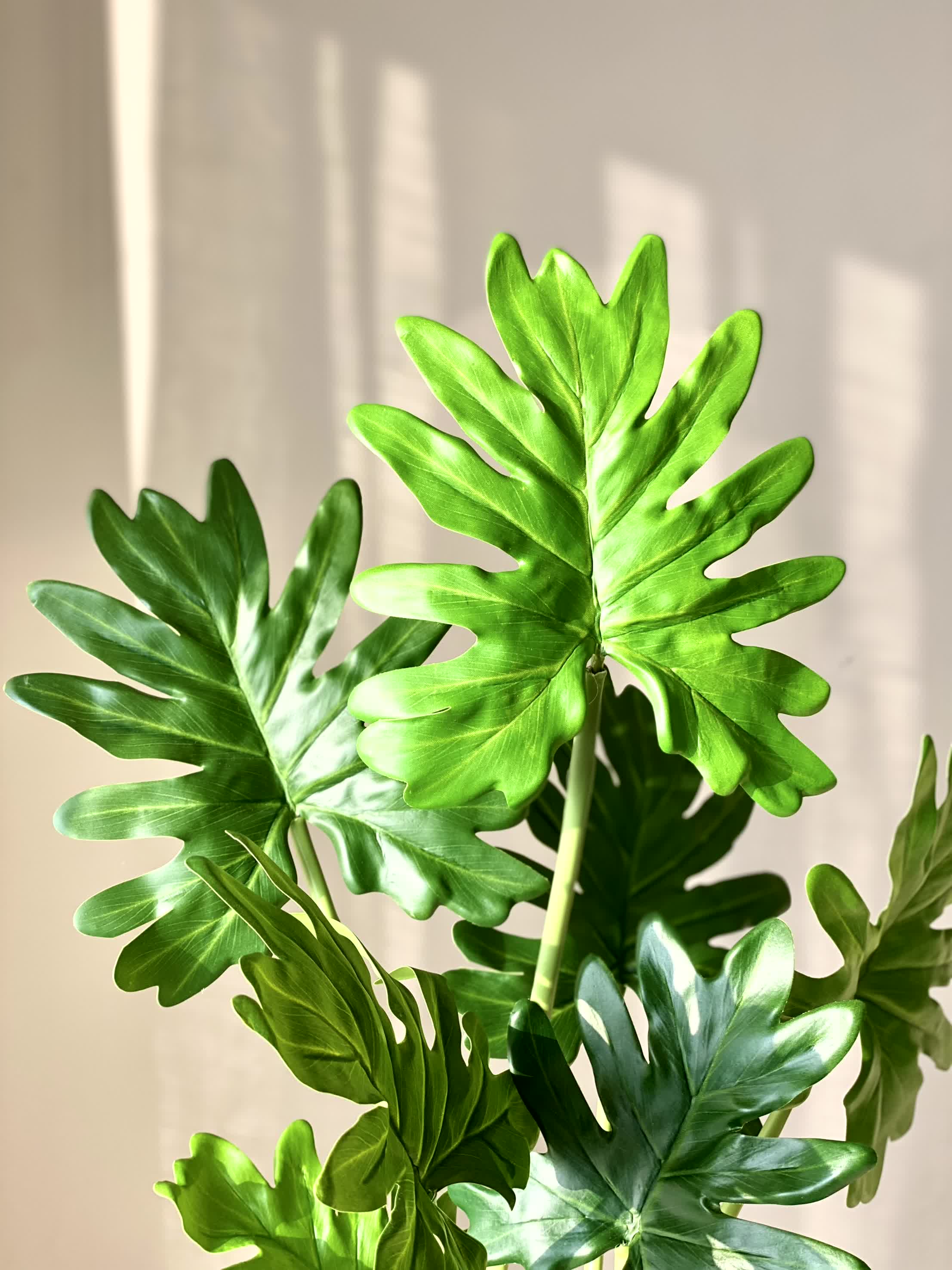 Artificial Split Philodendron Plant