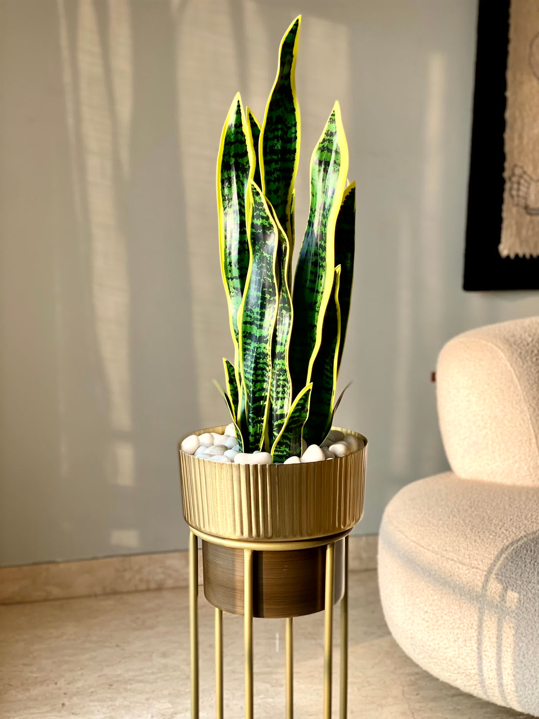 Artificial Snake Plant Saga - 1.5 Feet