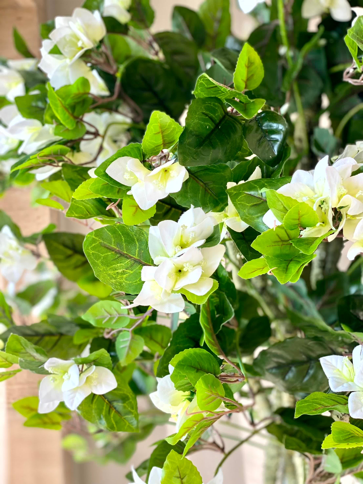 Artificial White Bougainvillea Plant-  6 Feet