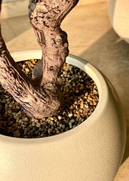 Artificial Frangipani Plant + Pot - 7.7 Feet (White)