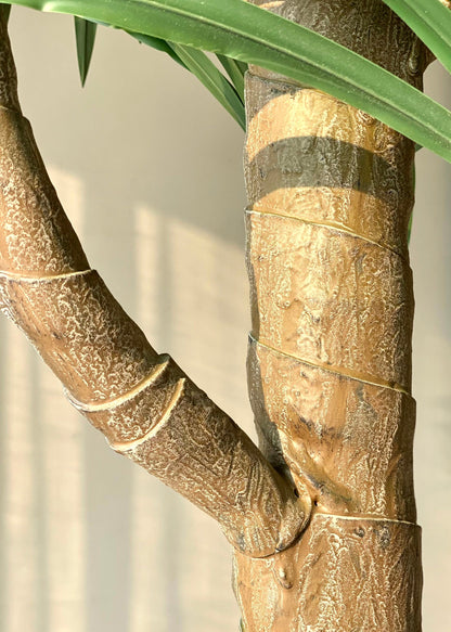 Artificial Dracaena Plant - 8 Feet