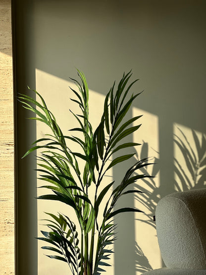Bamboo Palm Tree - 4.5 Feet