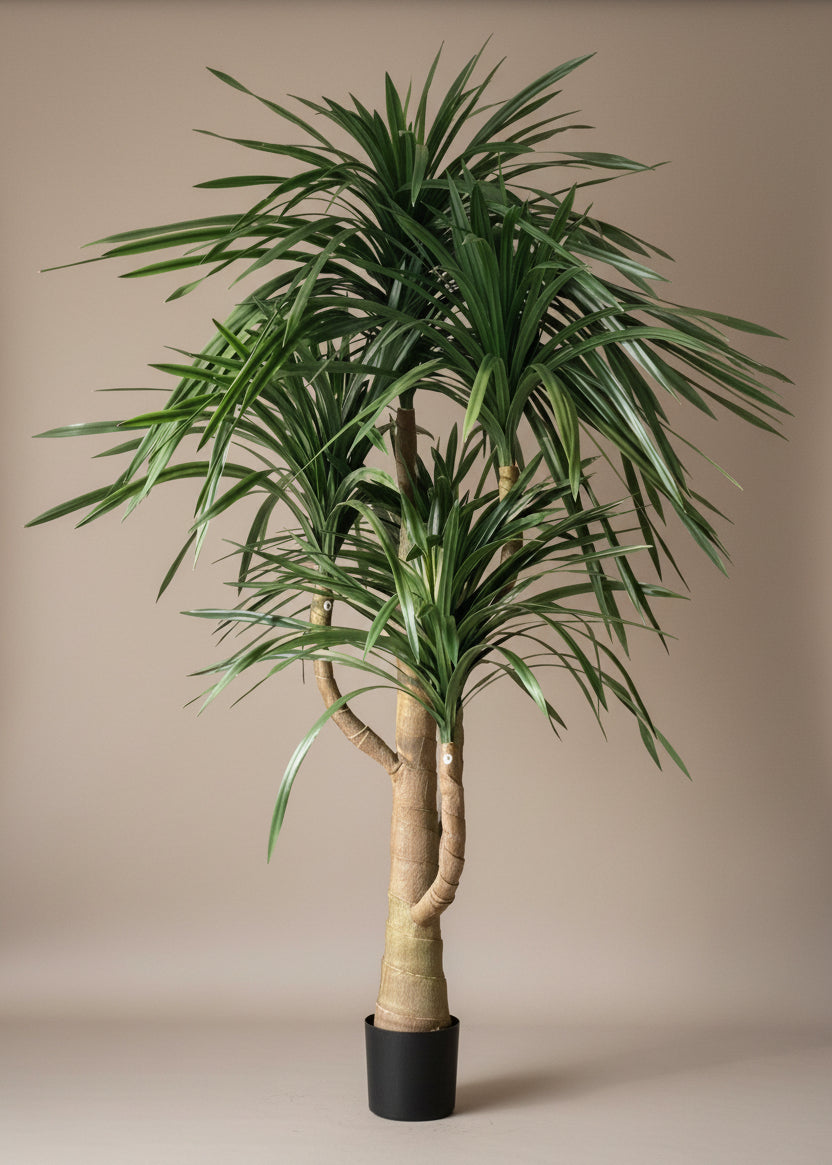 Artificial Dracaena Plant - 8 Feet