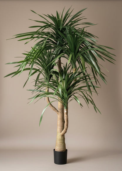 Artificial Dracaena Plant - 8 Feet