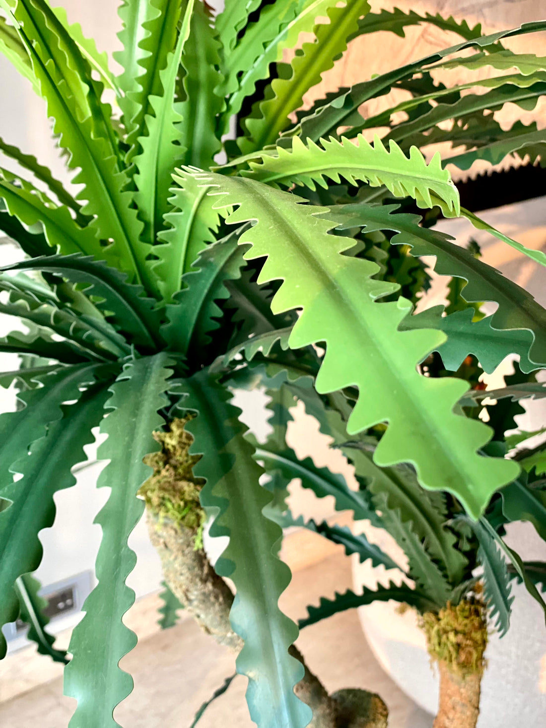 Artificial Desert Plant - 4.5 Feet