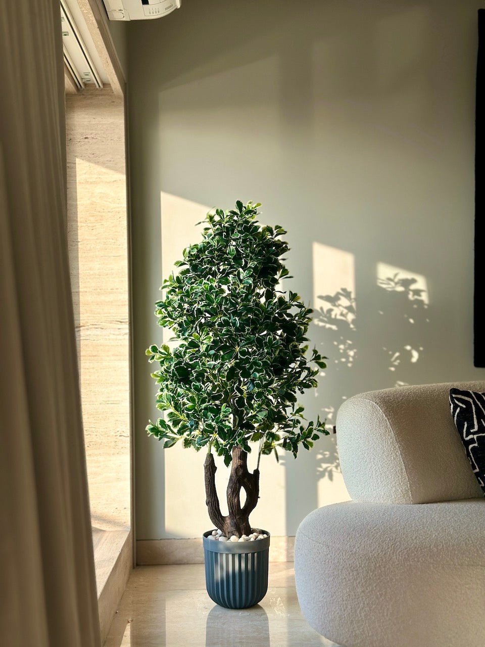 Schefflera Leaves Plant - 5 Feet