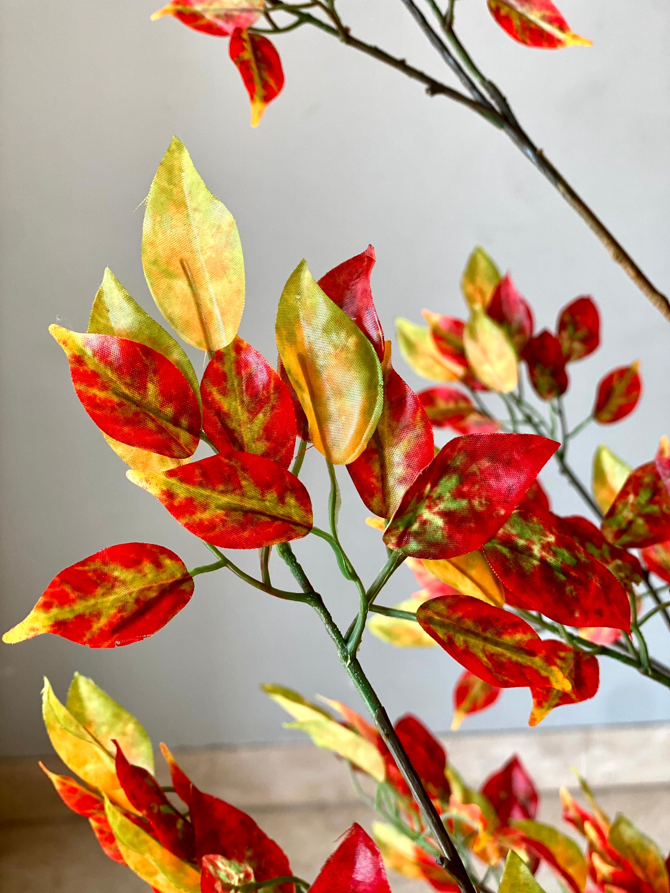 Artificial Autumn Ficus Plant - 5 Feet