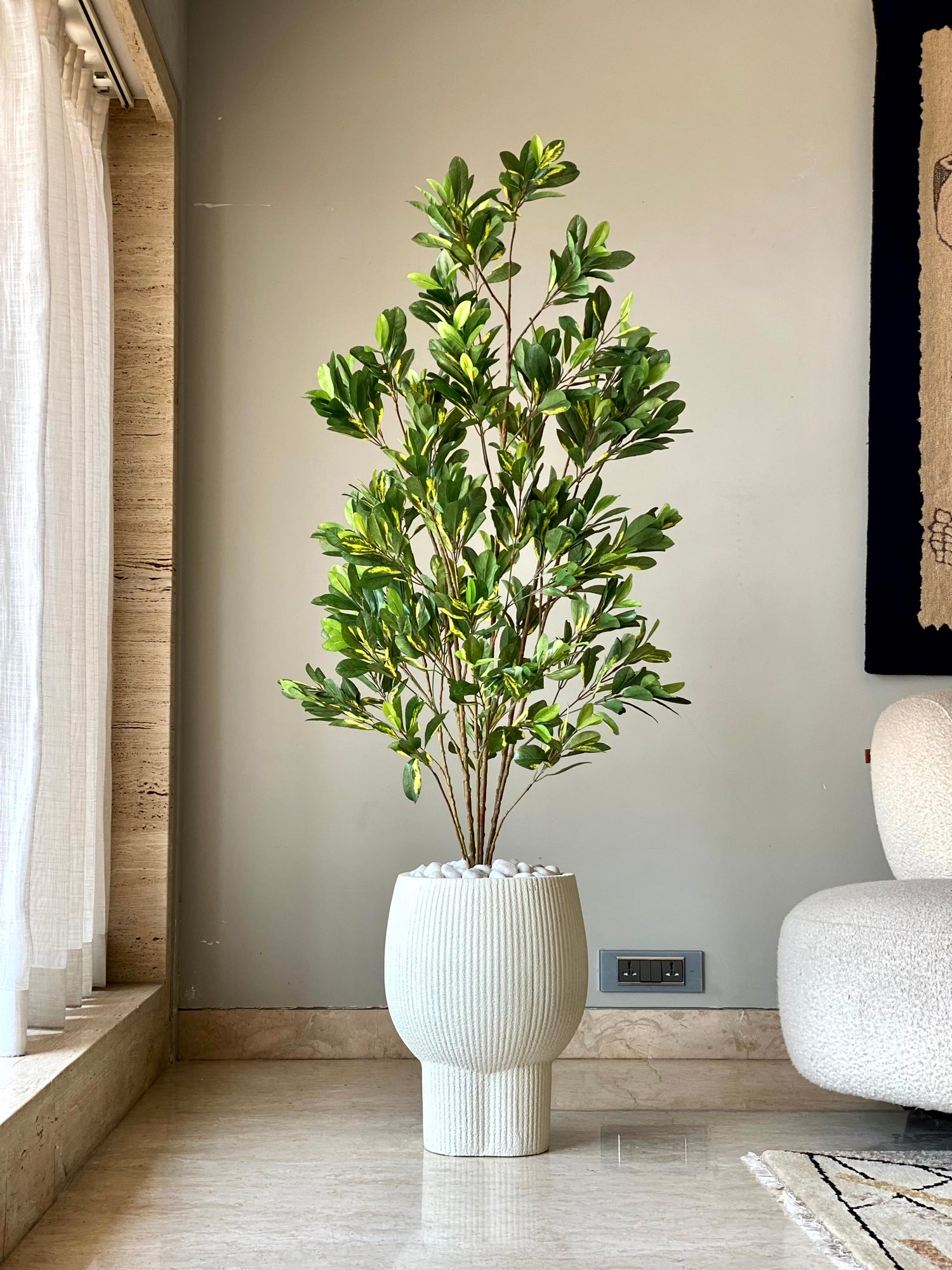 Artificial Schefflera Plant - 5 Feet
