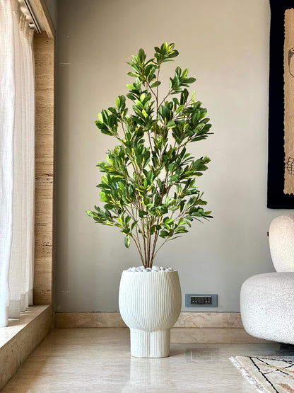 Artificial Schefflera Plant - 5 Feet