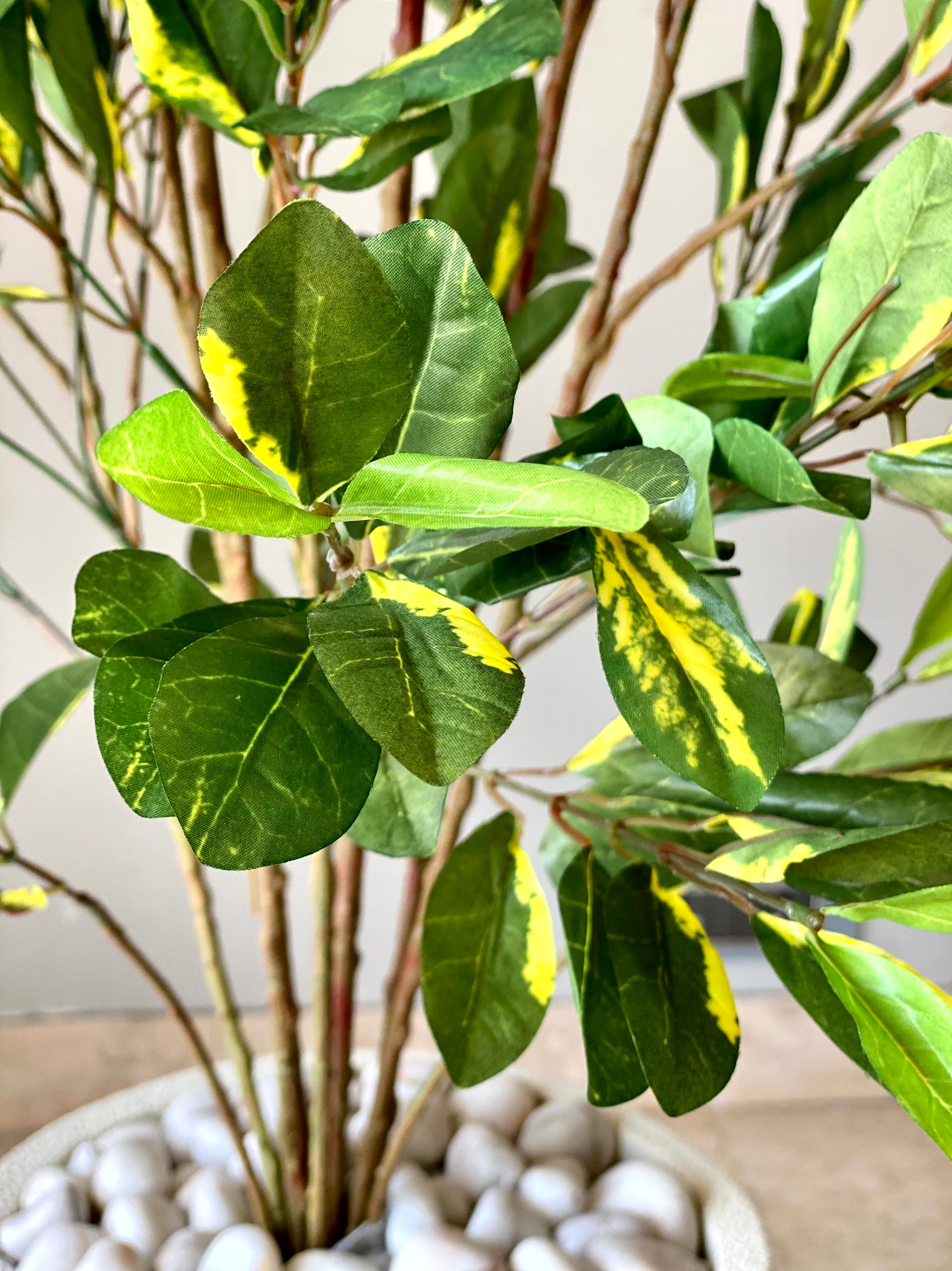 Artificial Schefflera Plant - 5 Feet