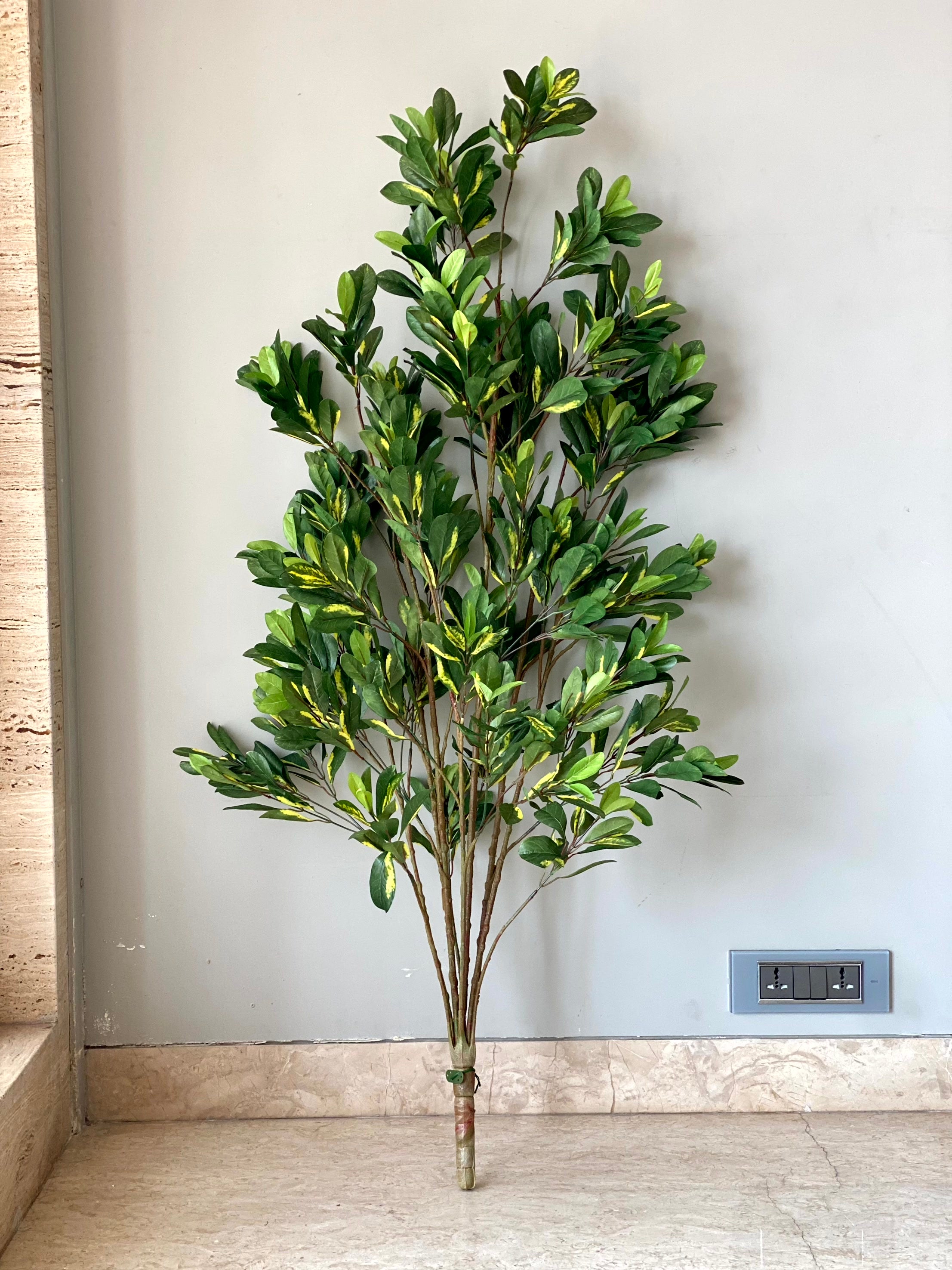 Artificial Schefflera Plant - 5 Feet