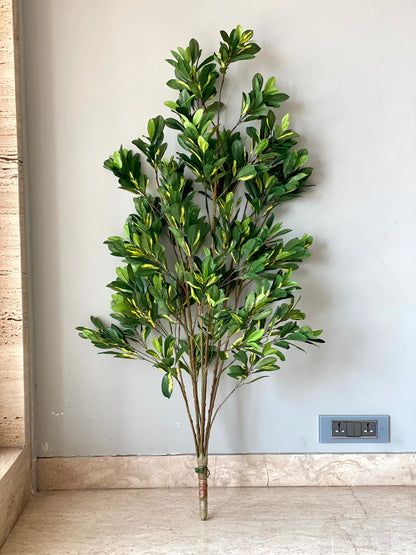 Artificial Schefflera Plant - 5 Feet